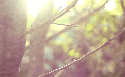 在园区,不知道这9位“小鲜肉”,你分分钟就Out了