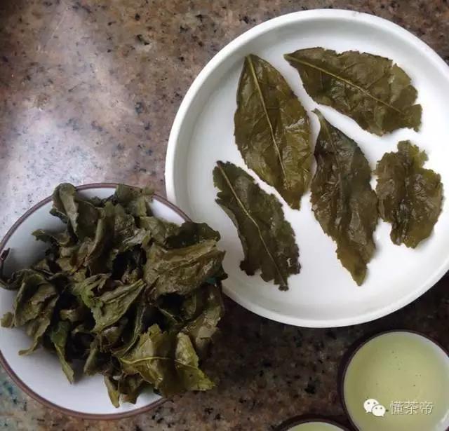 铁观音好坏辨别视频,铁观音叶底好坏鉴别图
