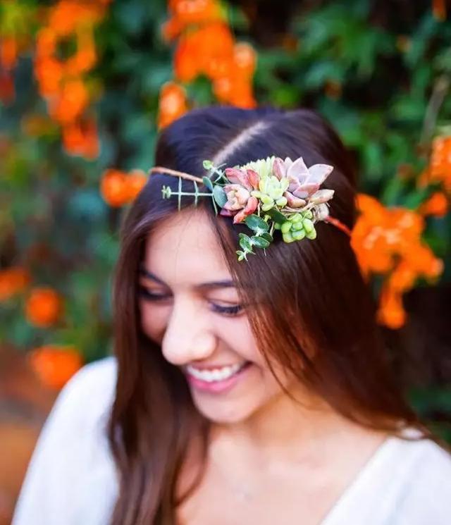 ins多肉,外国大神多肉