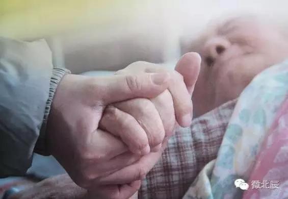 将“它”和智慧联系在一起？瞬间生活幸福指数飙升！