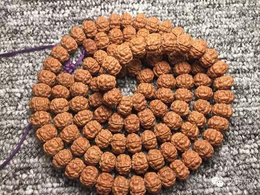 金刚菩提青皮怎么挑选,3000块钱能买什么样的金刚菩提