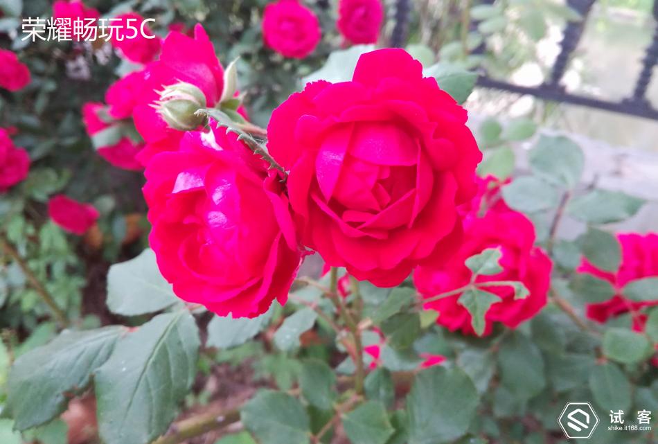 魅蓝3测评,魅蓝3s深度测评