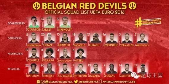 欧洲杯各国最新阵容,欧洲杯所有赛事所有比分