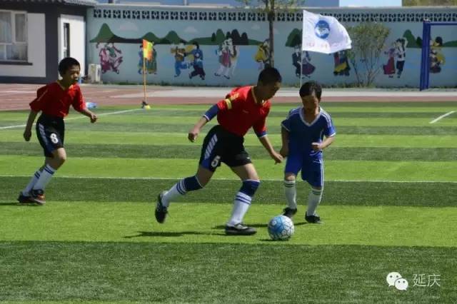 延庆区第十九届校园足球联赛,延庆区2024足球赛高中