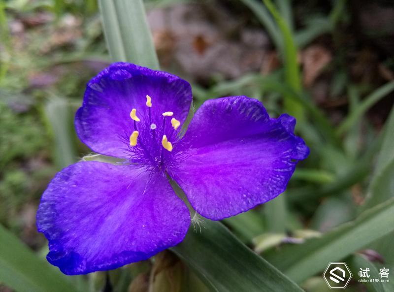 魅蓝3青年良品参数,性价比三款手机对比