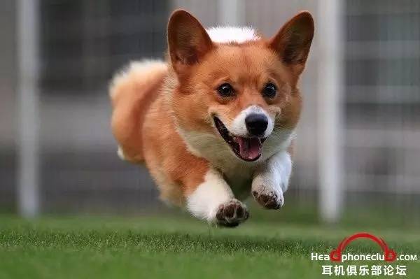 真力m030音箱,真力音箱m030