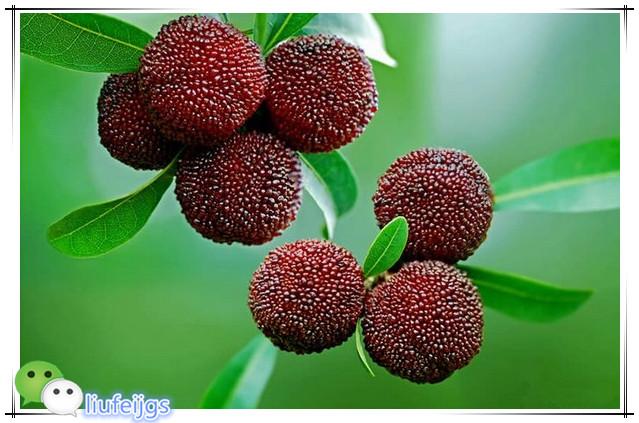 吃货吃遍新余,江西新余美食排名前十名