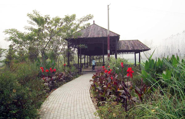 滕州微山湖红荷湿地游览攻略,自驾游山东滕州微山湖红荷湿地