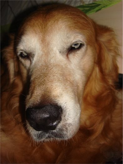 男性怎么看待卫生巾,中国男人对卫生巾的态度