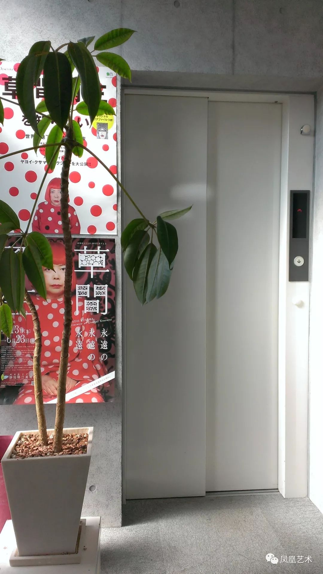 凤凰艺术｜陆蓉之：女神草间弥生，刚刚跨入89岁生日