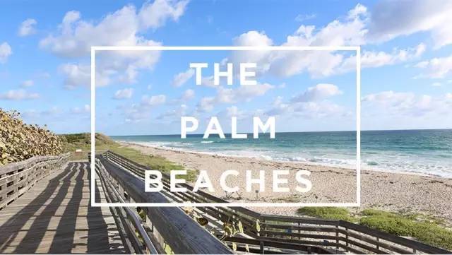 棕榈滩美景,棕榈滩沙滩