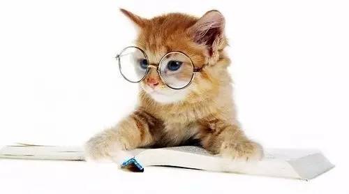 怎么才能感染弓形虫,弓形虫怎么感染到人身上