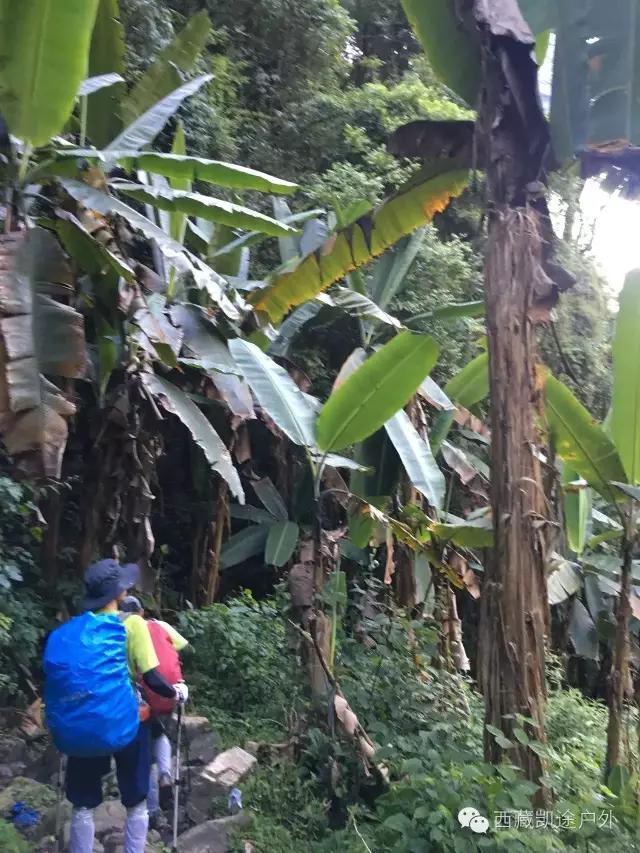 墨脱徒步攻略,墨脱雪山到热带雨林