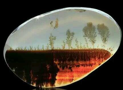 海洋玉髓越来越受欢迎,精华海洋玉髓