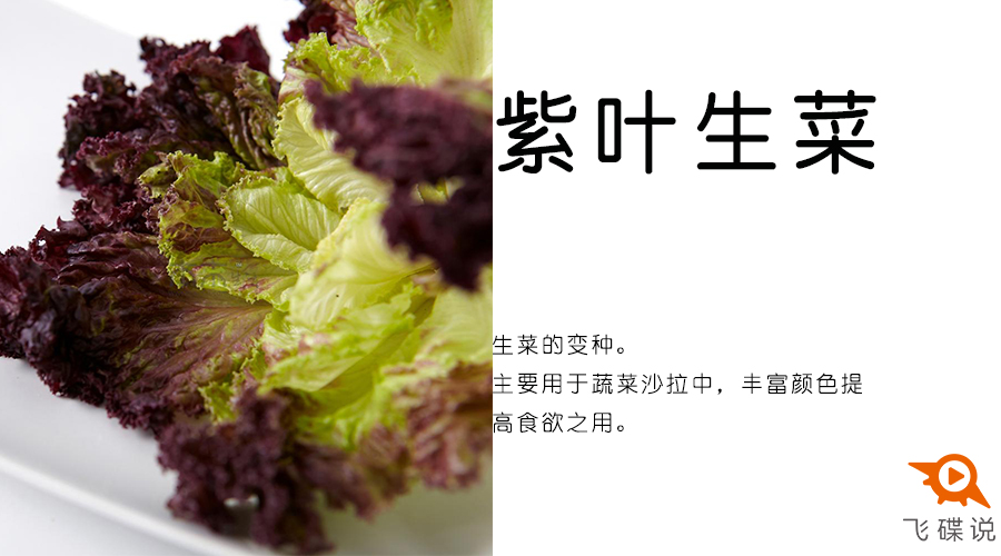 生菜煮熟了致癌吗,生菜煮熟生味很重