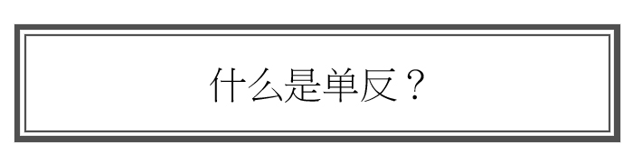 《肆摄》第三期——一句话介绍什么是单反相机？