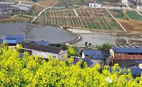 重庆国庆小长假怎么耍农家乐推荐,重庆农家乐和休闲农庄一日游