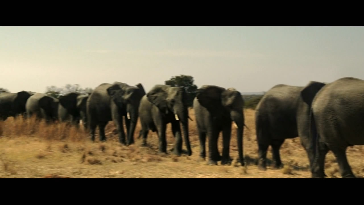 史上最无耻的汉奸,史上最可恶的汉奸视频