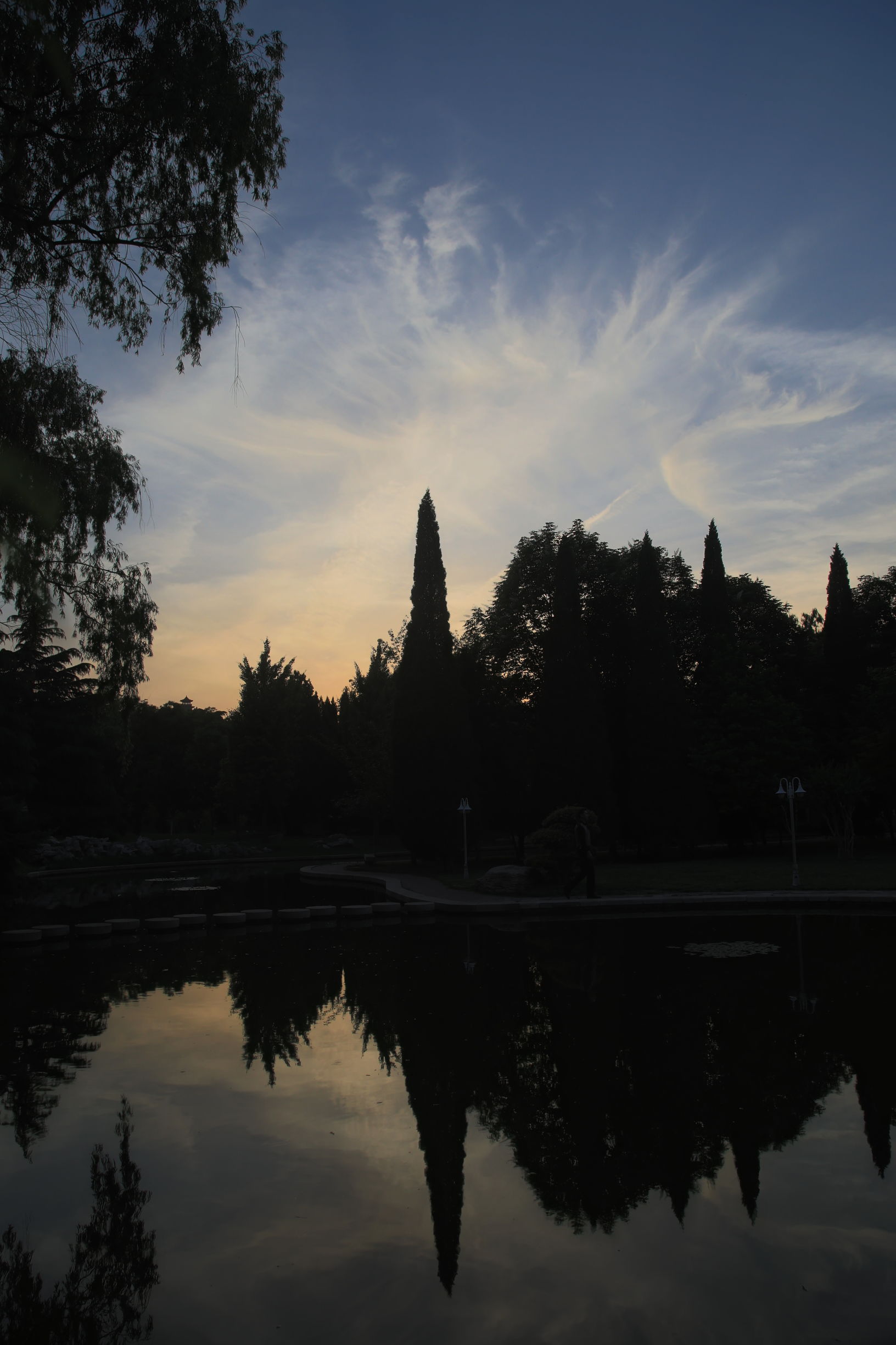 南郊宾馆的风景,南郊宾馆夜景
