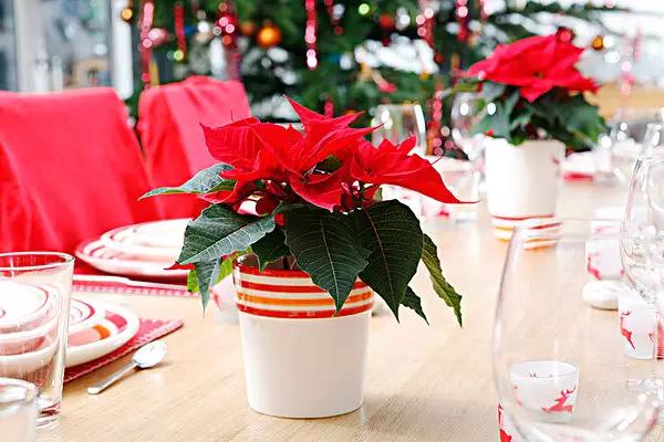 3岁男孩舔了一口,抢救8小时才抢救了回来,这东西你家一定也有