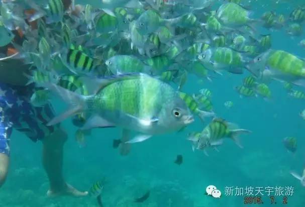 泰国的马尔代夫丽贝岛,泰国马尔代夫的海岛