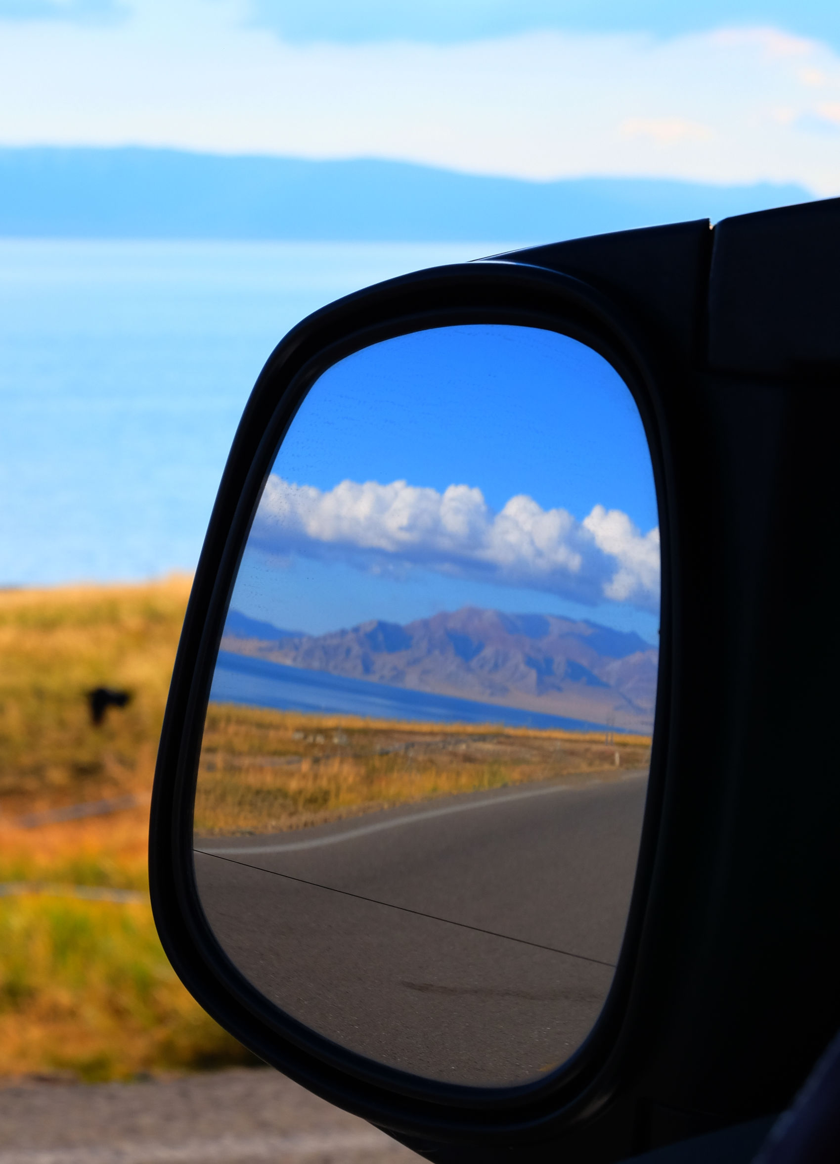 新疆伊犁14天旅行攻略,8天伊犁之旅