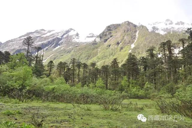 墨脱徒步攻略,墨脱雪山到热带雨林