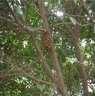 六一8090回忆童年的视频,六一回忆90后的童年