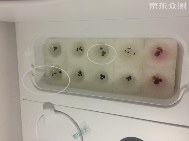 绿色环保农家小菜园,绿色无公害的自家小菜园