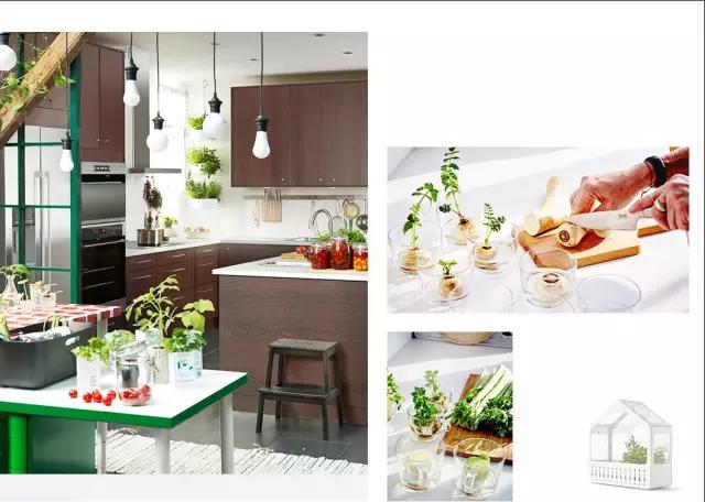 生活中的数字元素,无处不在的自然元素