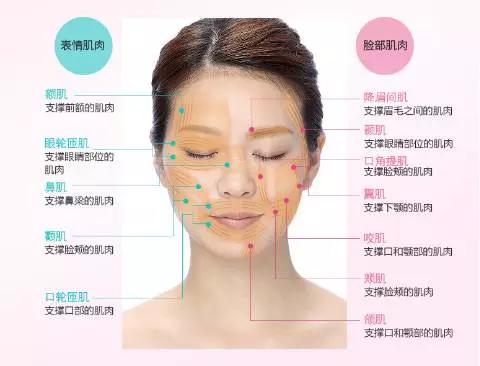 护肤品误区一览表,其实护肤品真的有效果吗