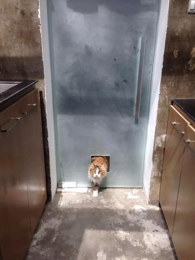 学区房小户型卧室简单装修,36平学区房设计