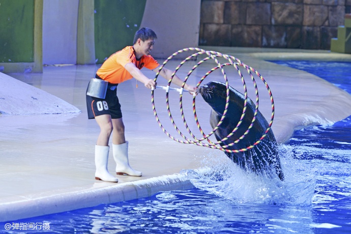 珠海长隆旅游攻略和住宿,珠海长隆周末有什么活动