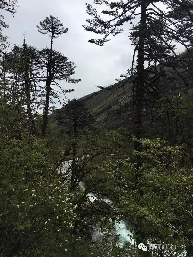 墨脱徒步攻略,墨脱雪山到热带雨林