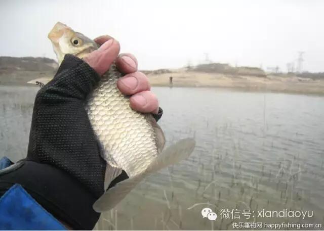 西安灞河钓鱼钓点,灞河路亚白条的钓点