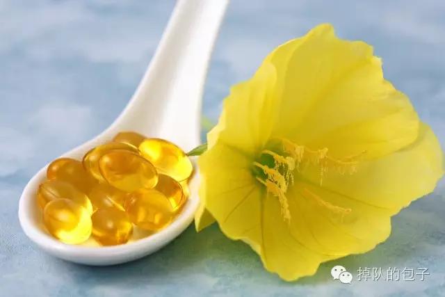 迷之月见草——那些代购不会告诉你的月见草知识全科普