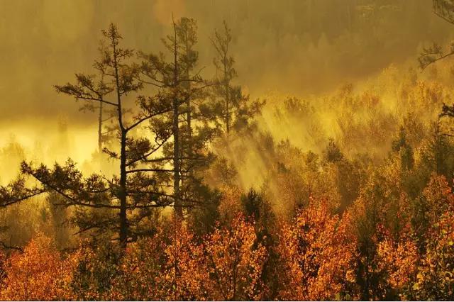 海拉尔城堡旅游攻略,海拉尔玩的地方攻略