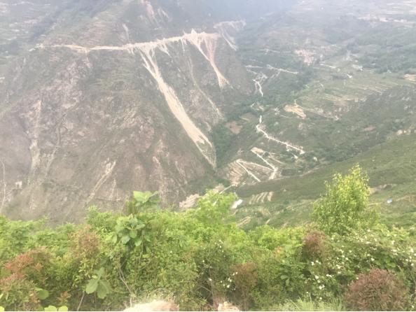 高山老巢土蜂蜜,真正的高山土蜂蜜