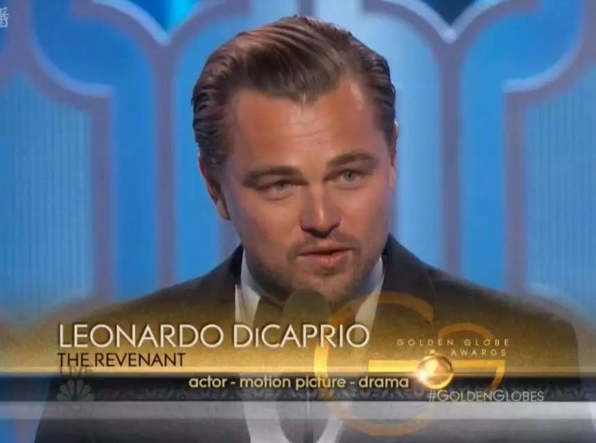 荒野猎人得奖,荒野猎人获奖片