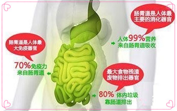益生菌:好处多多、误区也多多