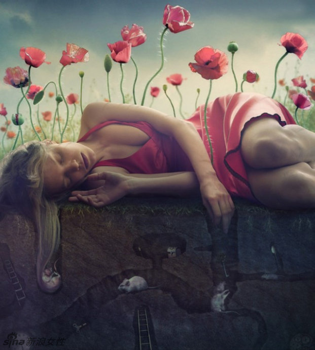 晚上睡觉梦到蛇灾是什么寓意,梦到超级大的蛇预示着什么