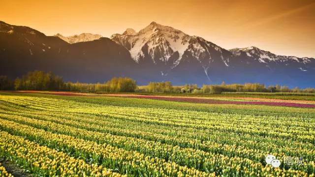 分镜课效,分镜学习视频教程