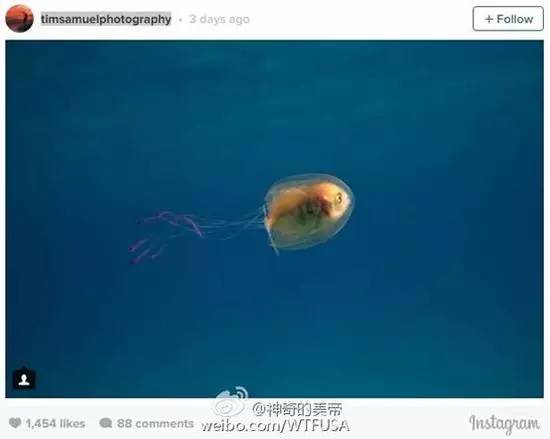 去看魔兽电影,看魔兽的顺序