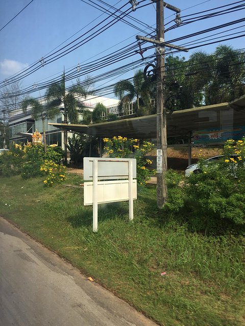 甯︾潃鐗涢瓟鐜嬬湅鏄熸槦,甯︾潃鐗涢瓟鐜嬪嚭鏉ョ湅涓婂笣