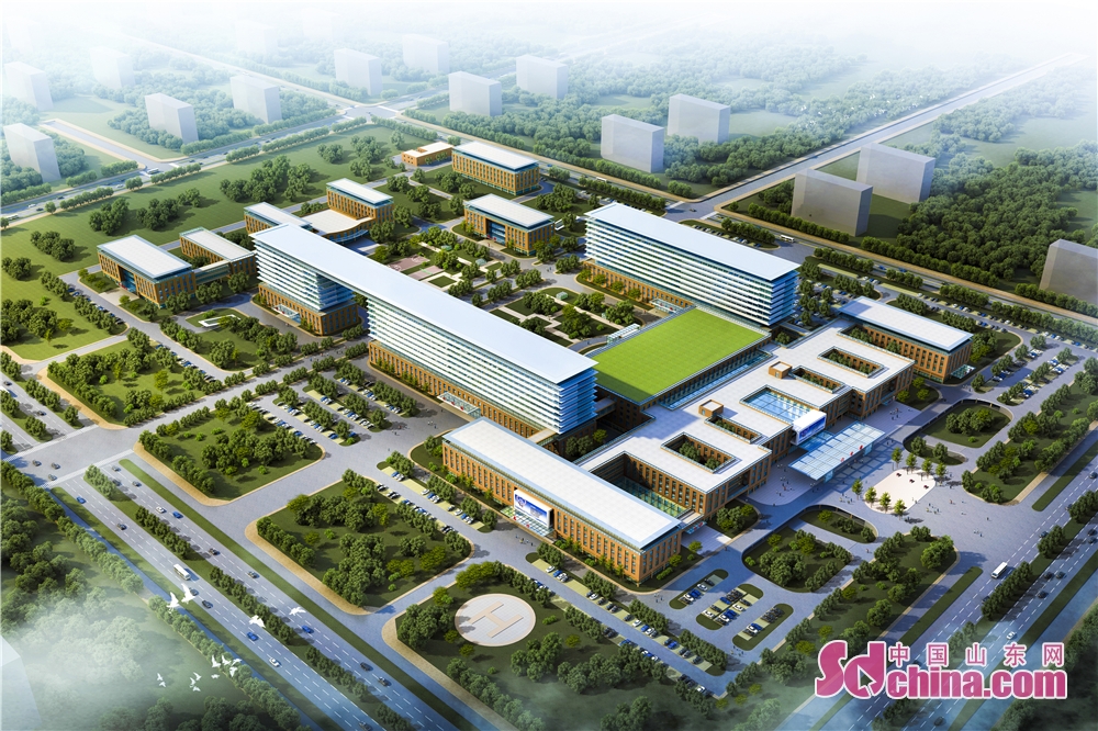 山东金城建设有限公司招聘,山东金城建设有限公司