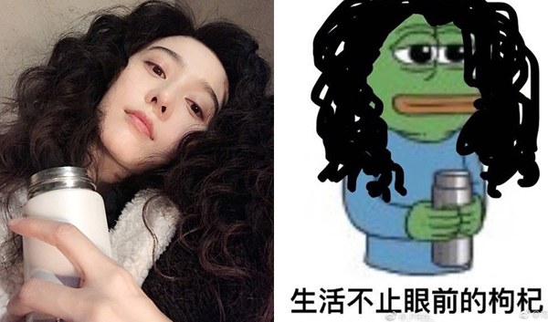 张韶涵范冰冰,张韶涵带火高光