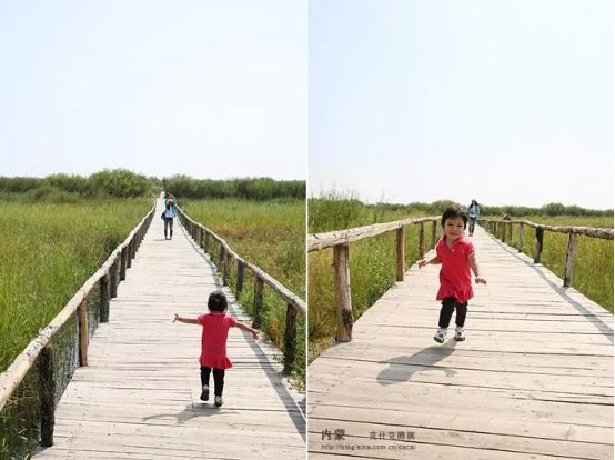 达里湖面积多大,自驾游闪电湖达里湖