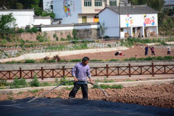 四川德阳春季脱贫攻坚,脱贫四种方式