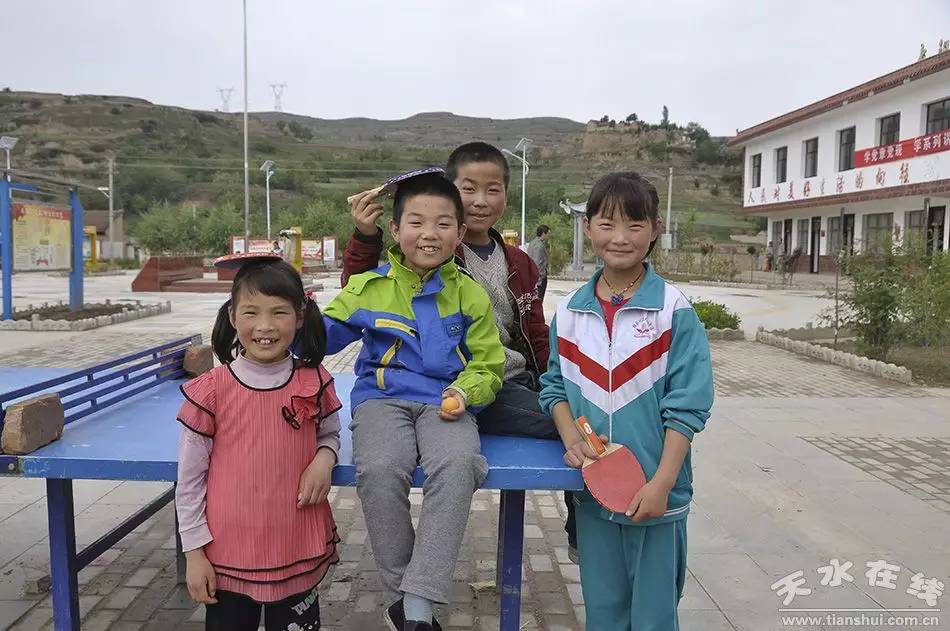 天水市麦积区最美村庄,天水市最美乡村谢沟村