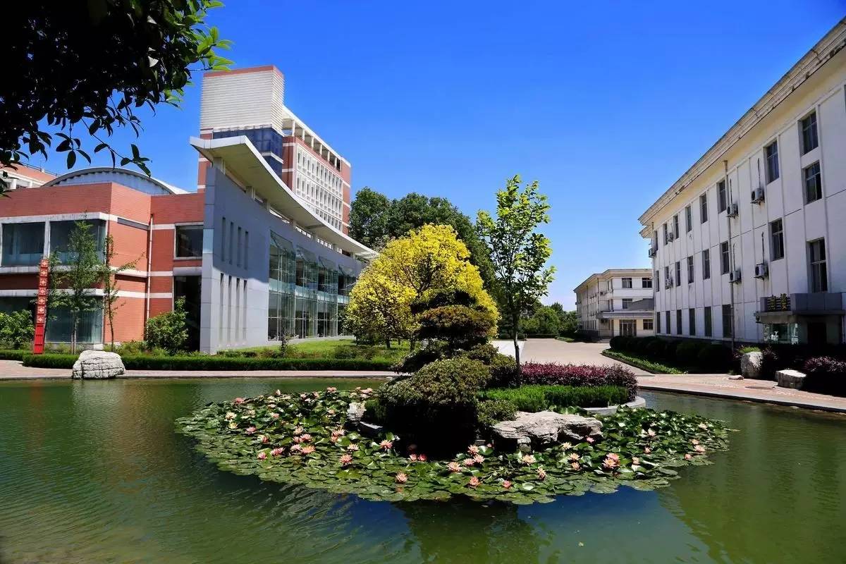 睡莲和荷花的区别在哪,睡莲与荷花有什么区别和联系